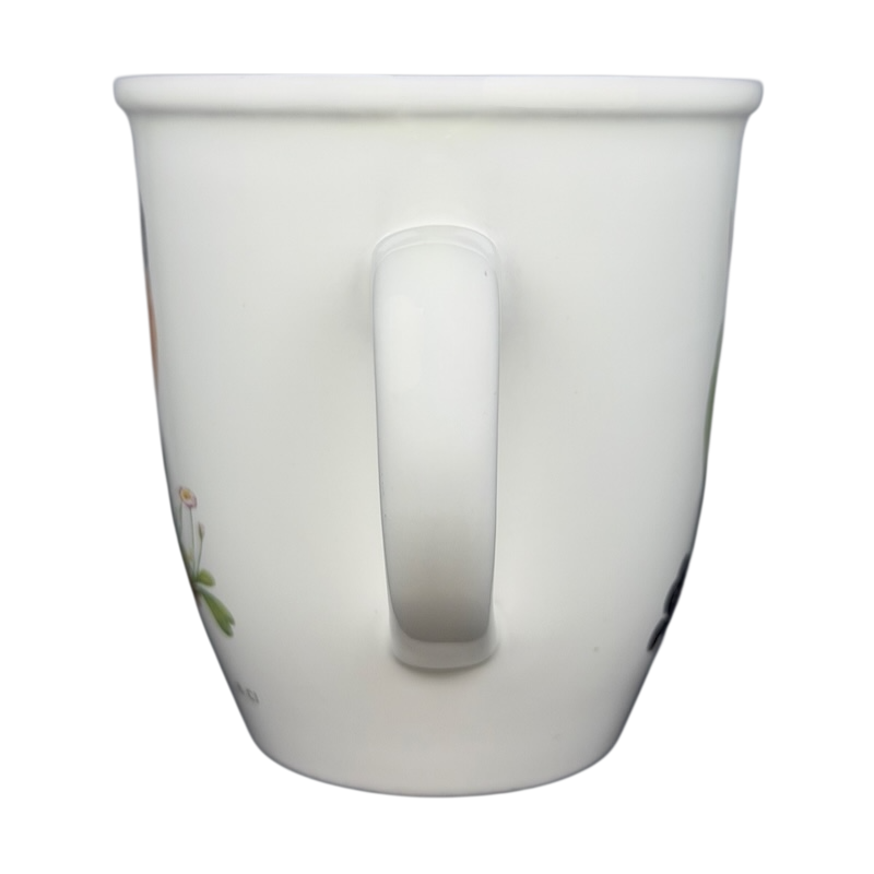 American Robin Mug CJ Wildlife