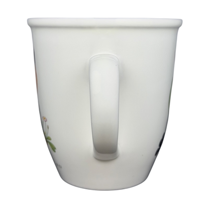 American Robin Mug CJ Wildlife