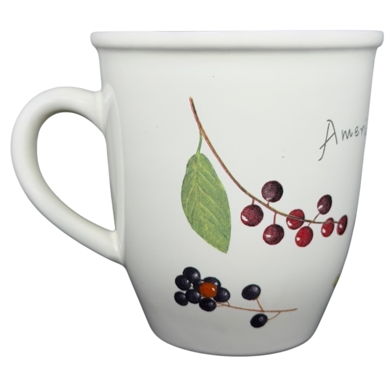 American Robin Mug CJ Wildlife