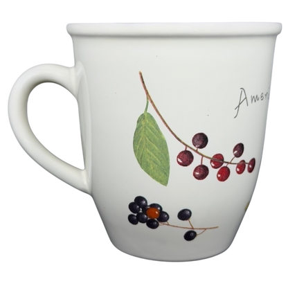 American Robin Mug CJ Wildlife
