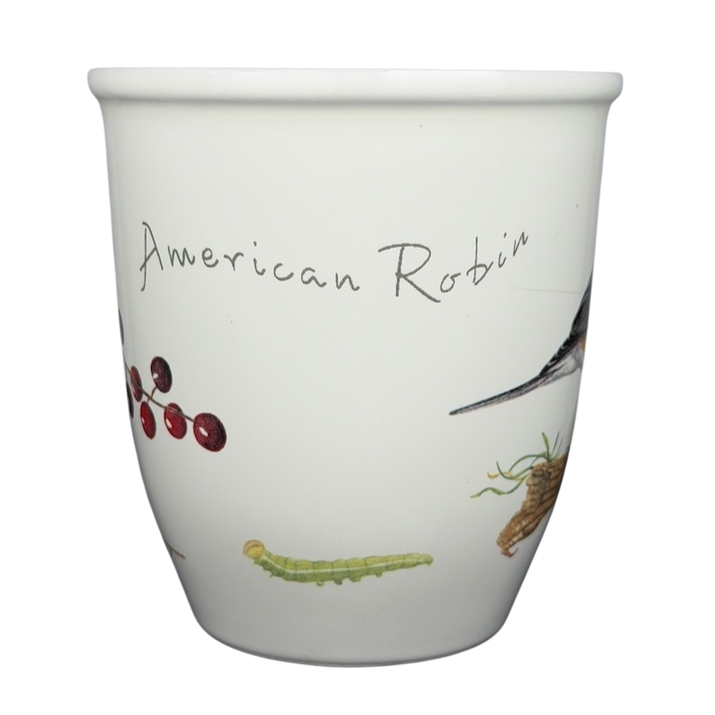 American Robin Mug CJ Wildlife