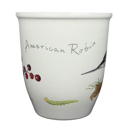 American Robin Mug CJ Wildlife