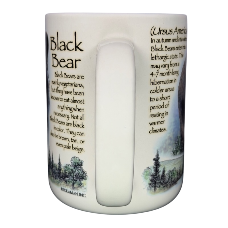 American Expedition Black Bear vintage mug with detailed wildlife illustration and informational text