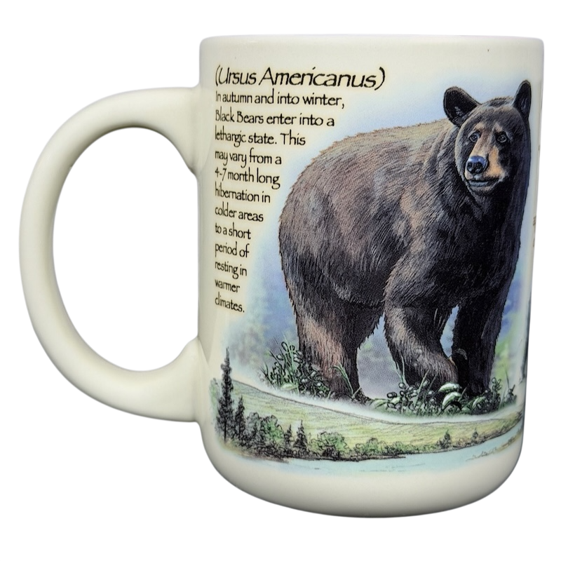 American Expedition Black Bear vintage mug featuring a detailed bear illustration and nature scene