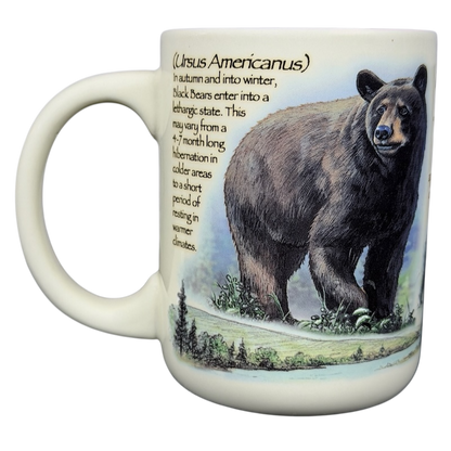 American Expedition Black Bear vintage mug featuring a detailed bear illustration and nature scene