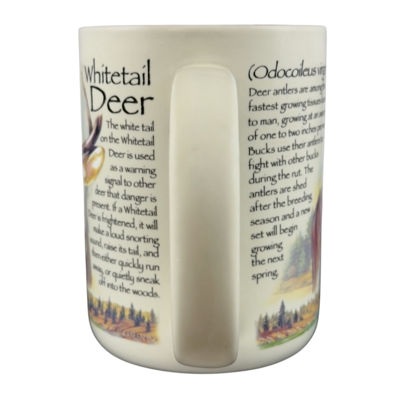 American Expedition Whitetail Deer Mug featuring detailed deer facts and imagery for nature enthusiasts
