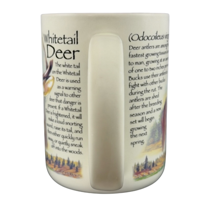 American Expedition Whitetail Deer Mug featuring detailed deer facts and imagery for nature enthusiasts