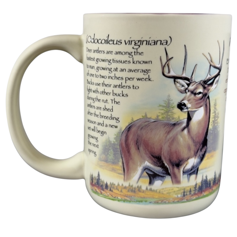 American Expedition Whitetail Deer Mug featuring a detailed illustration of a deer and educational facts