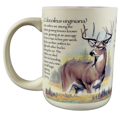 American Expedition Whitetail Deer Mug featuring a detailed illustration of a deer and educational facts