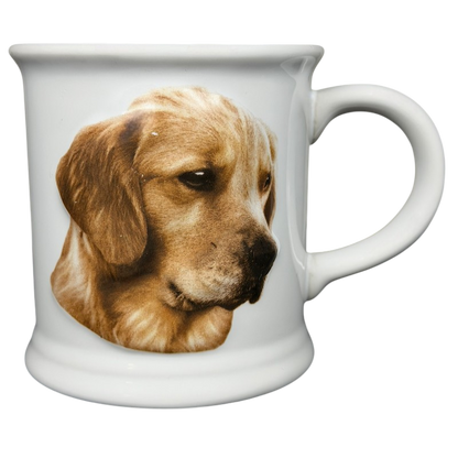 Best Friend Originals Golden Retriever Mug Xpres featuring a detailed dog portrait on a white ceramic mug