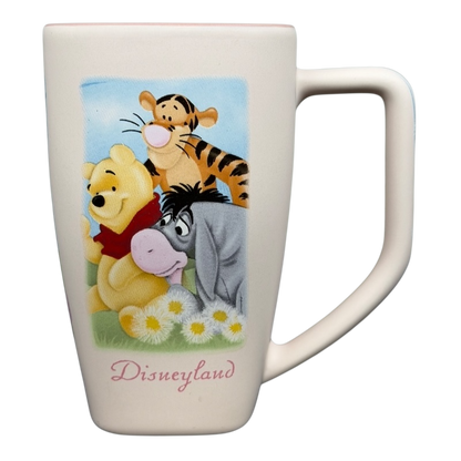 Disneyland Winnie the Pooh Make A Wish vintage mug featuring Pooh, Tigger, and Eeyore with flowers