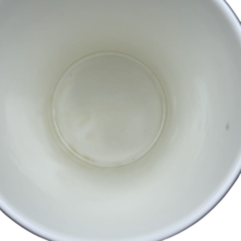 Inside view of the Bella Vista Deborah Phillips Mug Dunoon showcasing its smooth ceramic finish