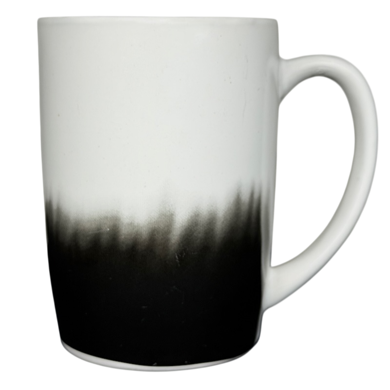 Coming In Hot FabFitFun Mug Ayesha Curry with a stylish black and white gradient design