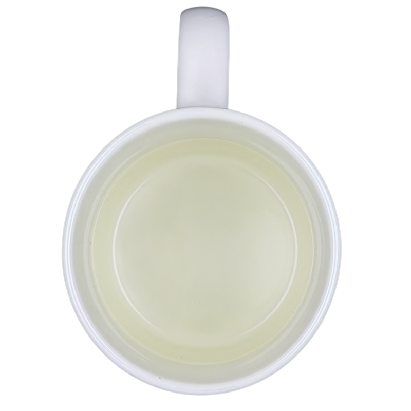 Eevee & Eeveelutions Grid Mug Game Freak shown from above with a clean, white interior