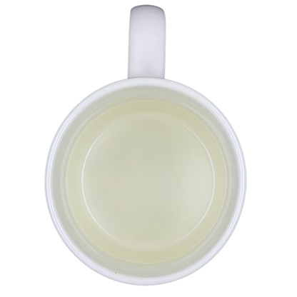 Eevee & Eeveelutions Grid Mug Game Freak shown from above with a clean, white interior