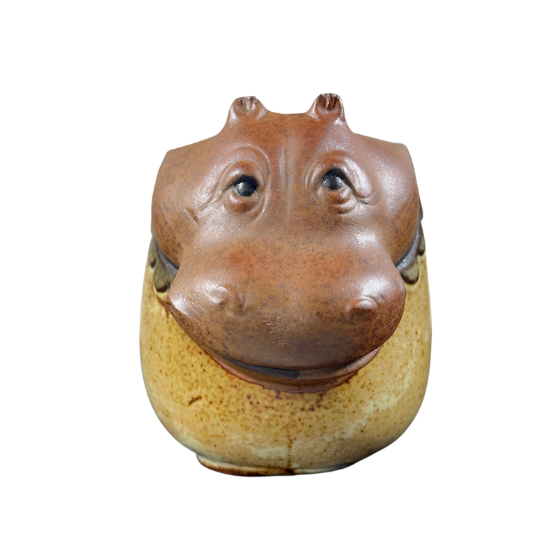 UCTCI Hippopotamus 3D Figural Vintage Mug with detailed facial features and a textured finish