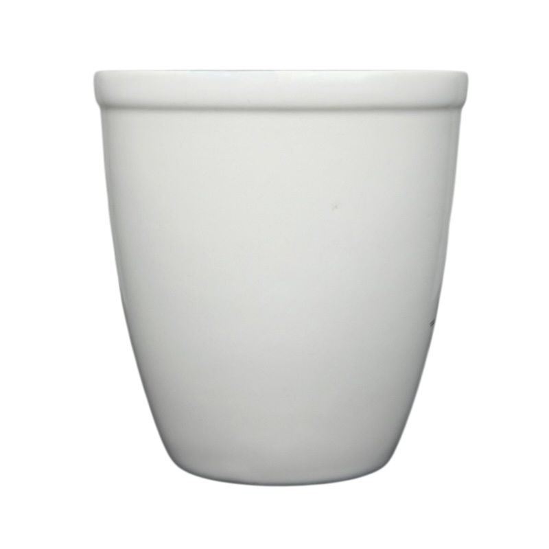 Hallmark Peanuts Charlie Brown Snoopy vintage mug in classic white design