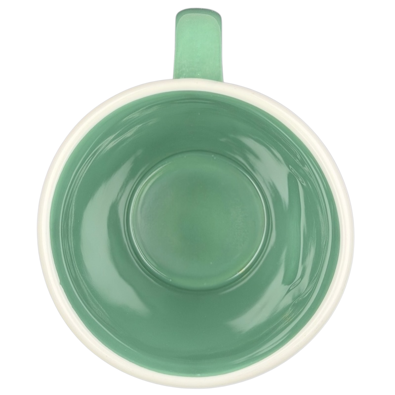 Top view of the Rae Dunn Harry Potter Slytherin mug showcasing its green interior and simple design