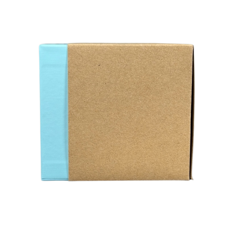 Closed cardboard box packaging for Starbucks Been There North Carolina mug with blue edge