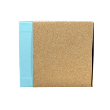 Closed cardboard box packaging for Starbucks Been There North Carolina mug with blue edge