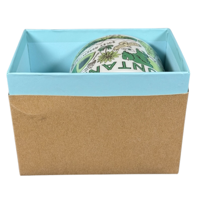 Starbucks Been There Series Montana mug partially visible inside blue and brown gift box packaging