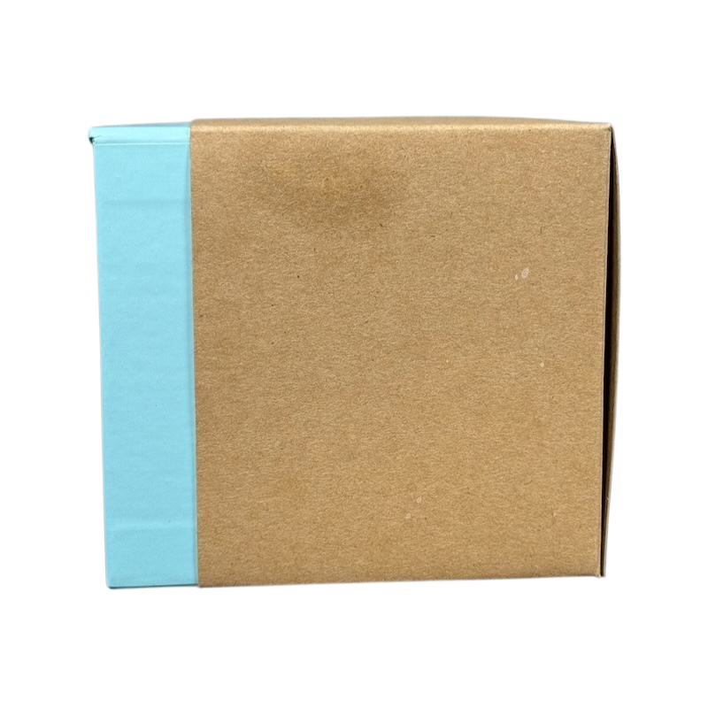 Starbucks Been There Series mug Texas packaging box with blue and brown design