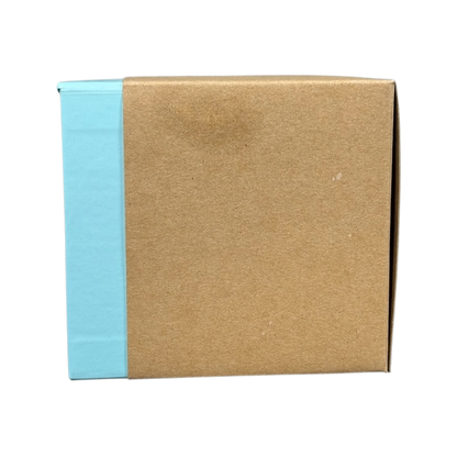 Starbucks Been There Series mug Texas packaging box with blue and brown design