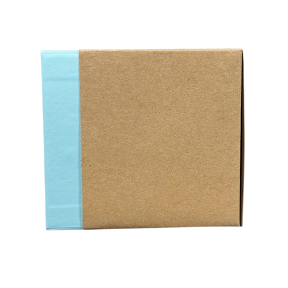 Starbucks Been There Series Rhode Island mug box with blue and brown packaging