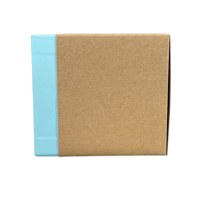 Packaging box for Starbucks Been There Tennessee mug with brown and light blue design