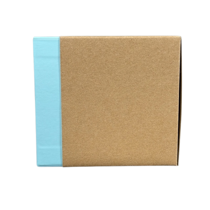 Packaging box for Starbucks Been There Tennessee mug with brown and light blue design