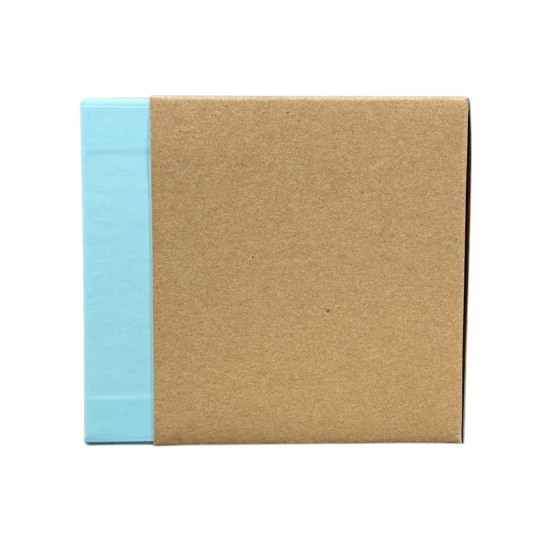 Starbucks Delaware Been There mug packaging box with blue and brown design on black background