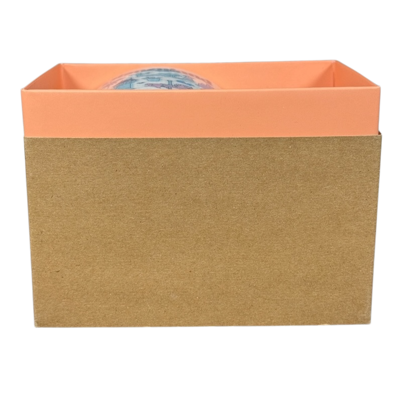 Disneyland Starbucks Been There Series mug partly visible inside brown and peach gift box