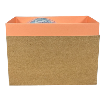 Disneyland Starbucks Been There Series mug partly visible inside brown and peach gift box