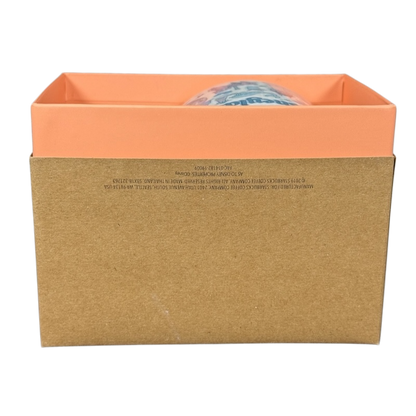 Starbucks Disneyland Starbucks Been There Series mug partially visible inside an orange and brown packaging box