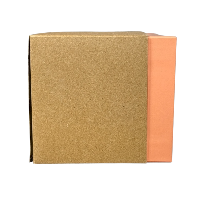 Box packaging for Disneyland Starbucks Been There Series mug with brown and orange design