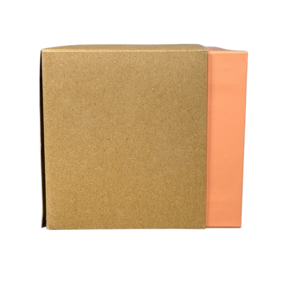 Box packaging for Disneyland Starbucks Been There Series mug with brown and orange design