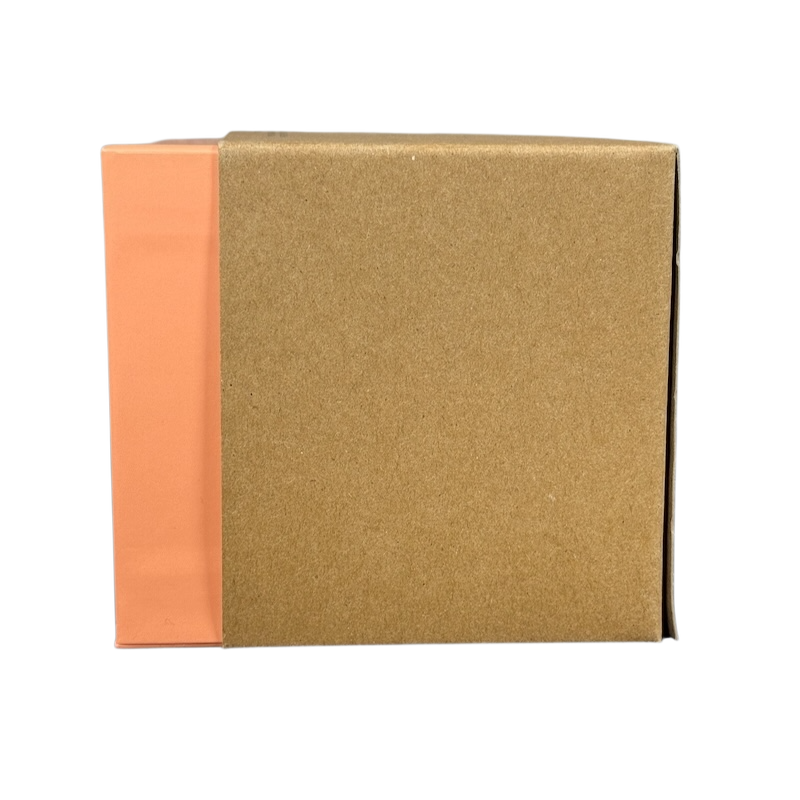 Box packaging for Disneyland Starbucks Been There Series mug with brown and peach colors