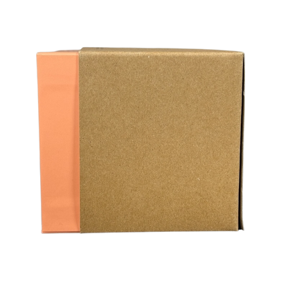 Box packaging for Disneyland Starbucks Been There Series mug with brown and peach colors