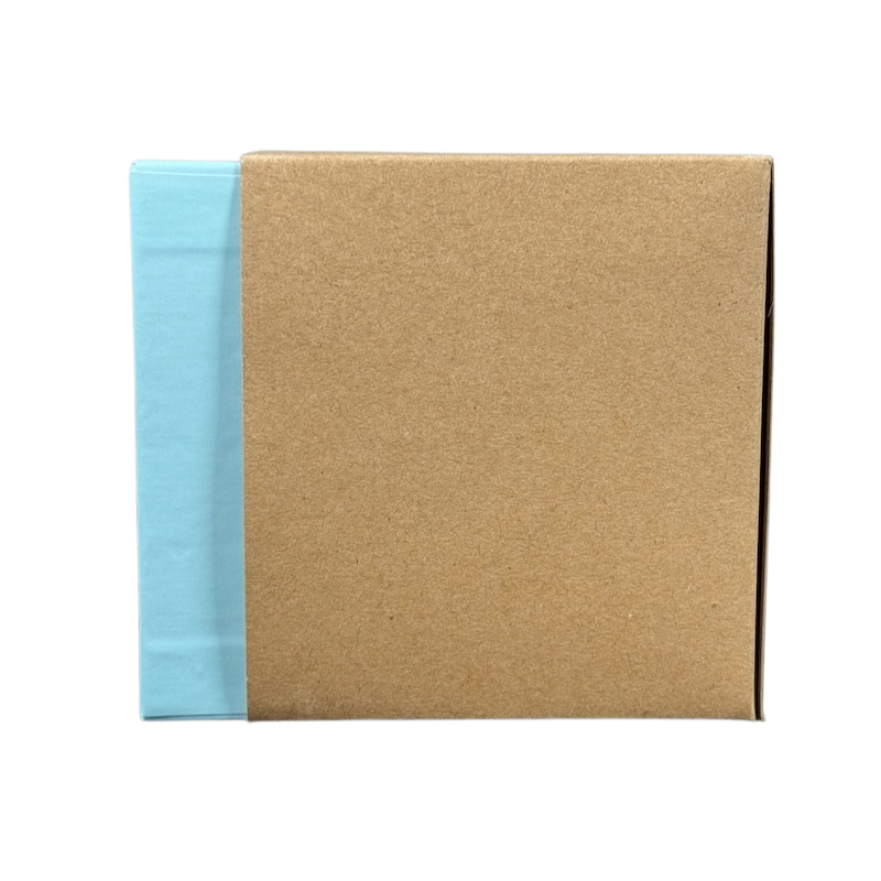 Starbucks Florida Been There mug packaged in a light blue and brown cardboard box on black background