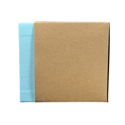 Starbucks Florida Been There mug packaged in a light blue and brown cardboard box on black background