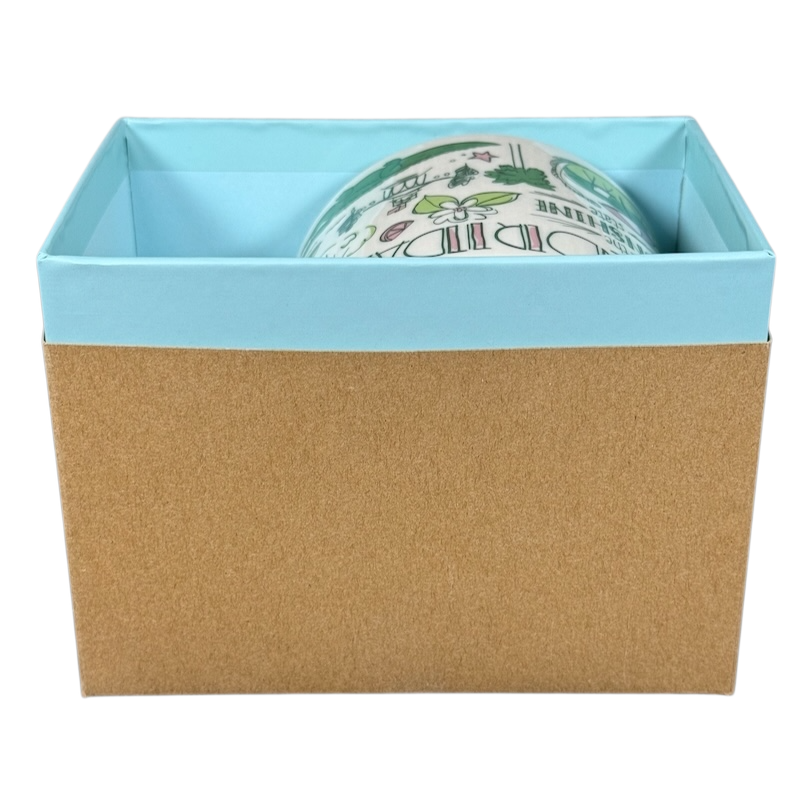Starbucks Florida Been There mug partially visible inside a blue and brown box packaging