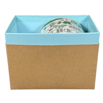 Starbucks Florida Been There mug partially visible inside a blue and brown box packaging