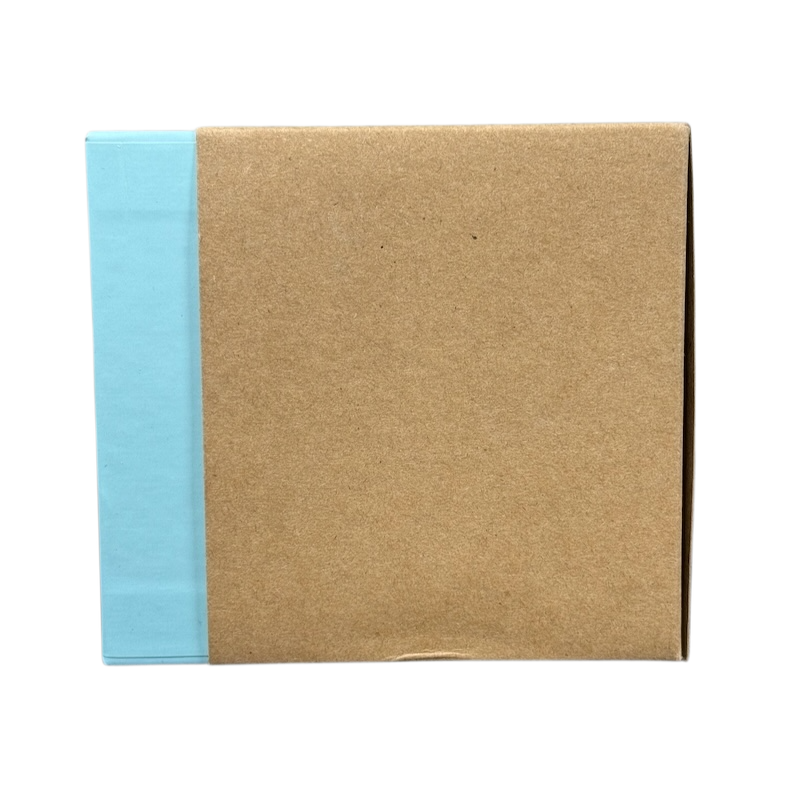 Closed cardboard box with light blue side panel packaging Starbucks Georgia Been There Series mug