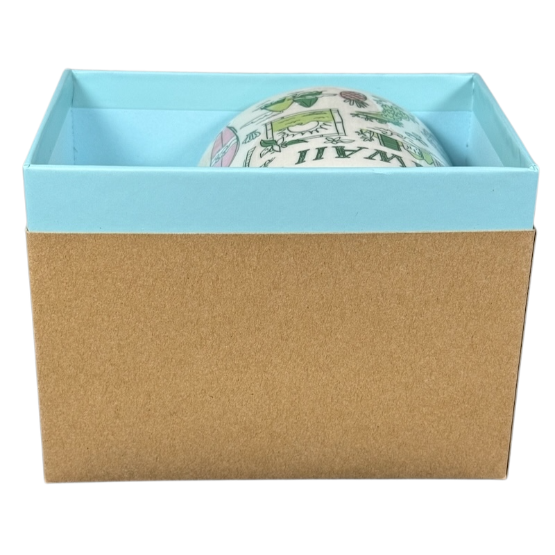 Starbucks Hawaii Been There mug partially visible inside a blue and brown gift box on black background