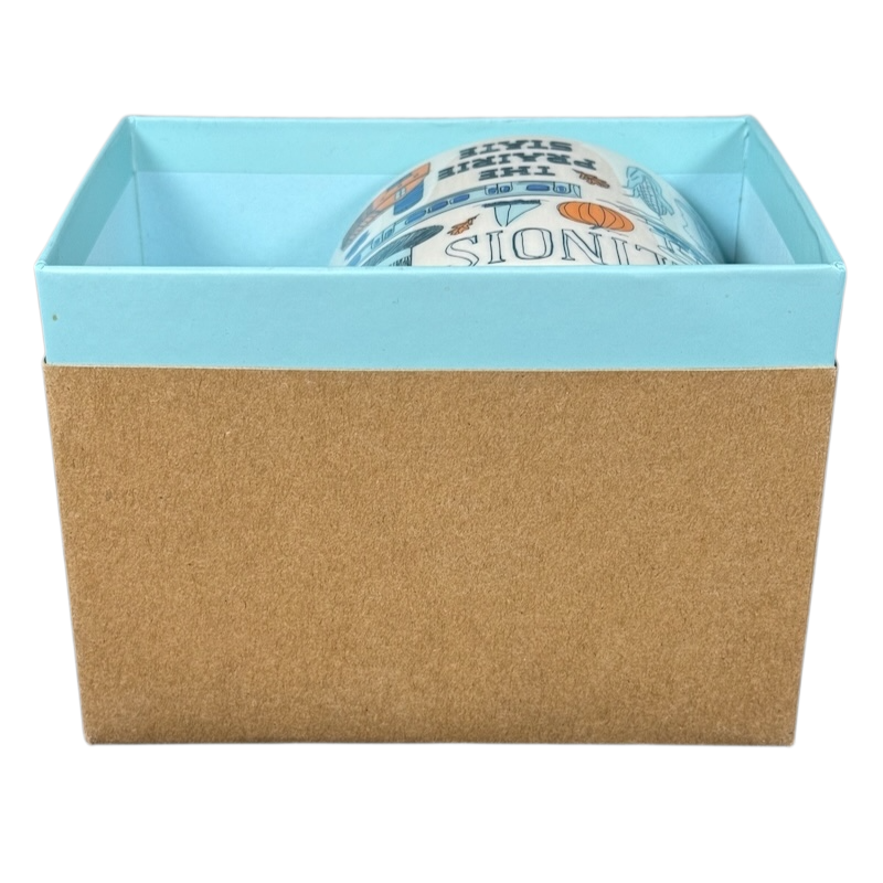 Illinois Starbucks Been There mug partially visible inside a blue and brown gift box