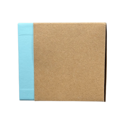 Closed brown and blue box packaging for Illinois Starbucks Been There mug