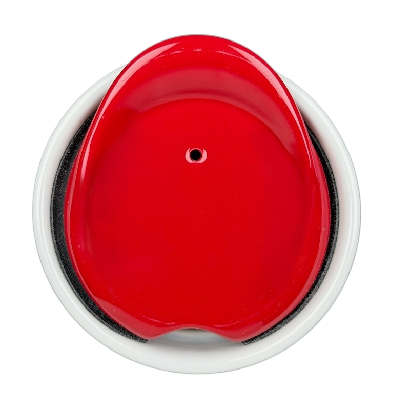 Top view of Local Collection Minnesota Tumbler Starbucks featuring a red lid design