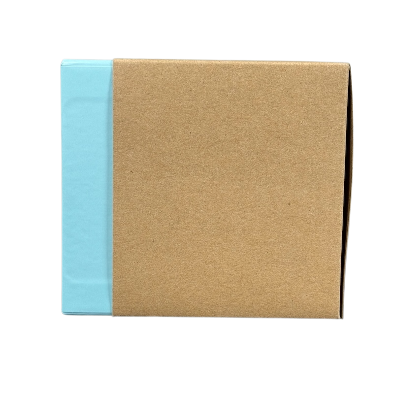 Box packaging for Starbucks Louisiana Been There mug with light blue and brown colors