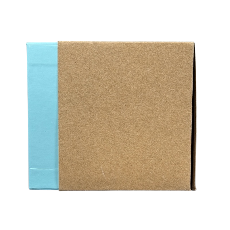 Closed cardboard box packaging for Starbucks Michigan Been There mug with blue and brown colors