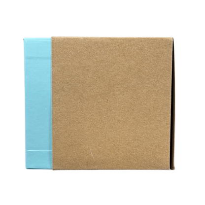 Closed cardboard box packaging for Starbucks Michigan Been There mug with blue and brown colors